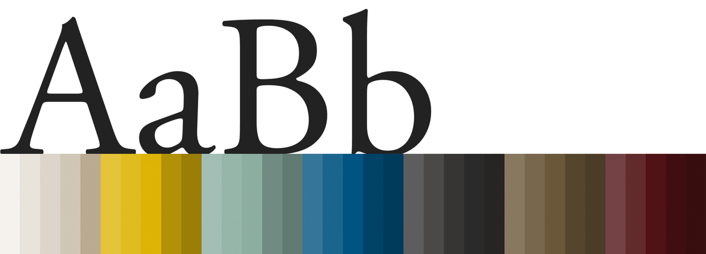 Texas State color hierarchy and typography samples