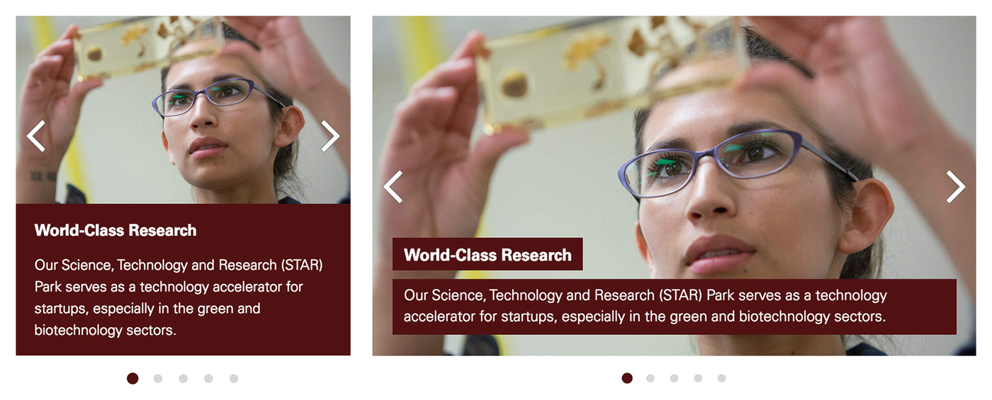 Style guide slider component